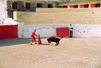Visita la Galeria de fotos
